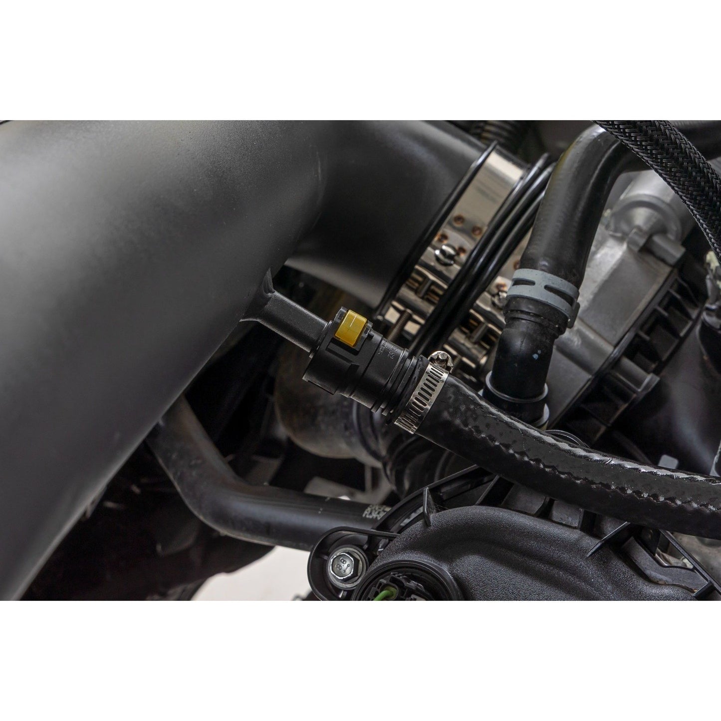 ROUGH COUNTRY Cold Air Intake Kit | 5.0L | Ford F-150 2WD/4WD (2021-2025) | 10473