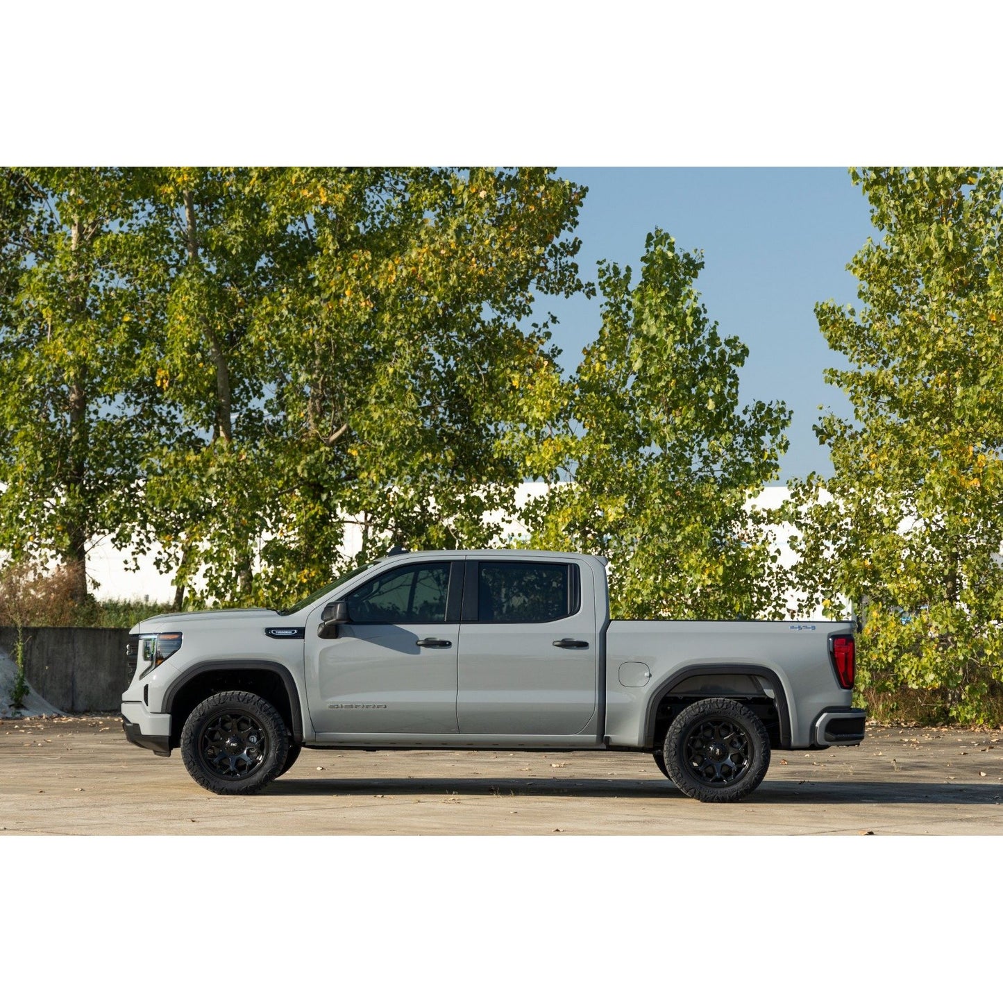 ROUGH COUNTRY N3 Leveling Struts | 2 Inch | Loaded Strut | Chevy/GMC Sierra 1500 (19-26)/Silverado 1500 (19-26) | 501065