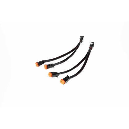 https://cdn.shopify.com/s/files/1/0785/2536/6555/files/120321.010.jpg?v=1788719754