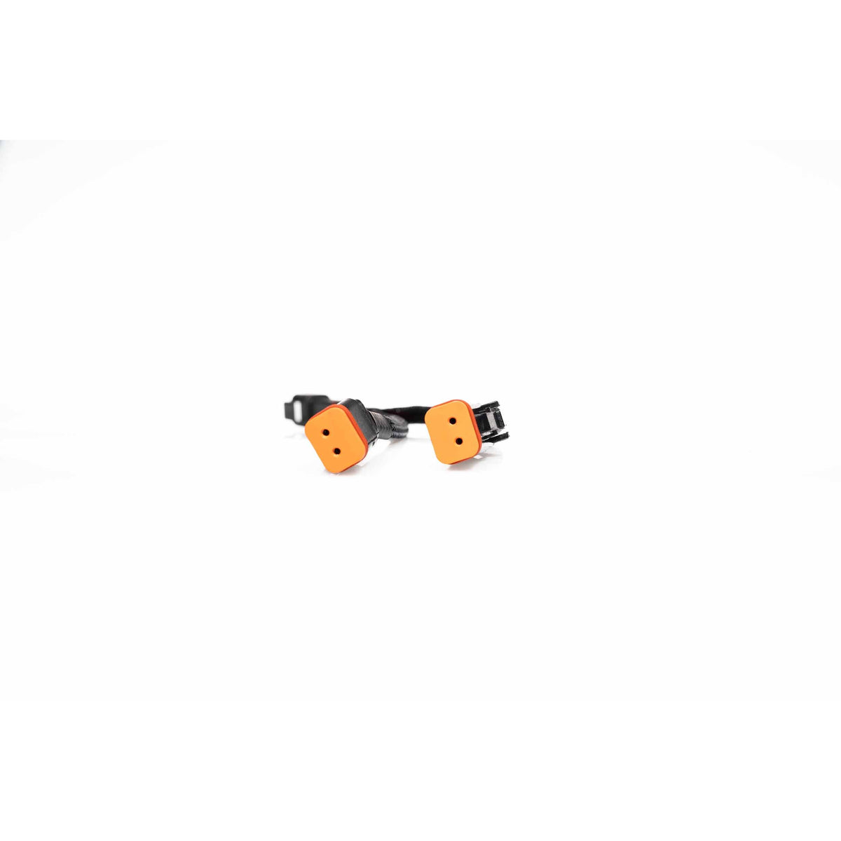 https://cdn.shopify.com/s/files/1/0785/2536/6555/files/120321.030.jpg?v=1788719753