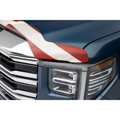 Husky Liners | Eagle American Flag Bug Shield For 2005-2021 Frontier/Pathfinder Husky Liners | 2818519 on vehicle front