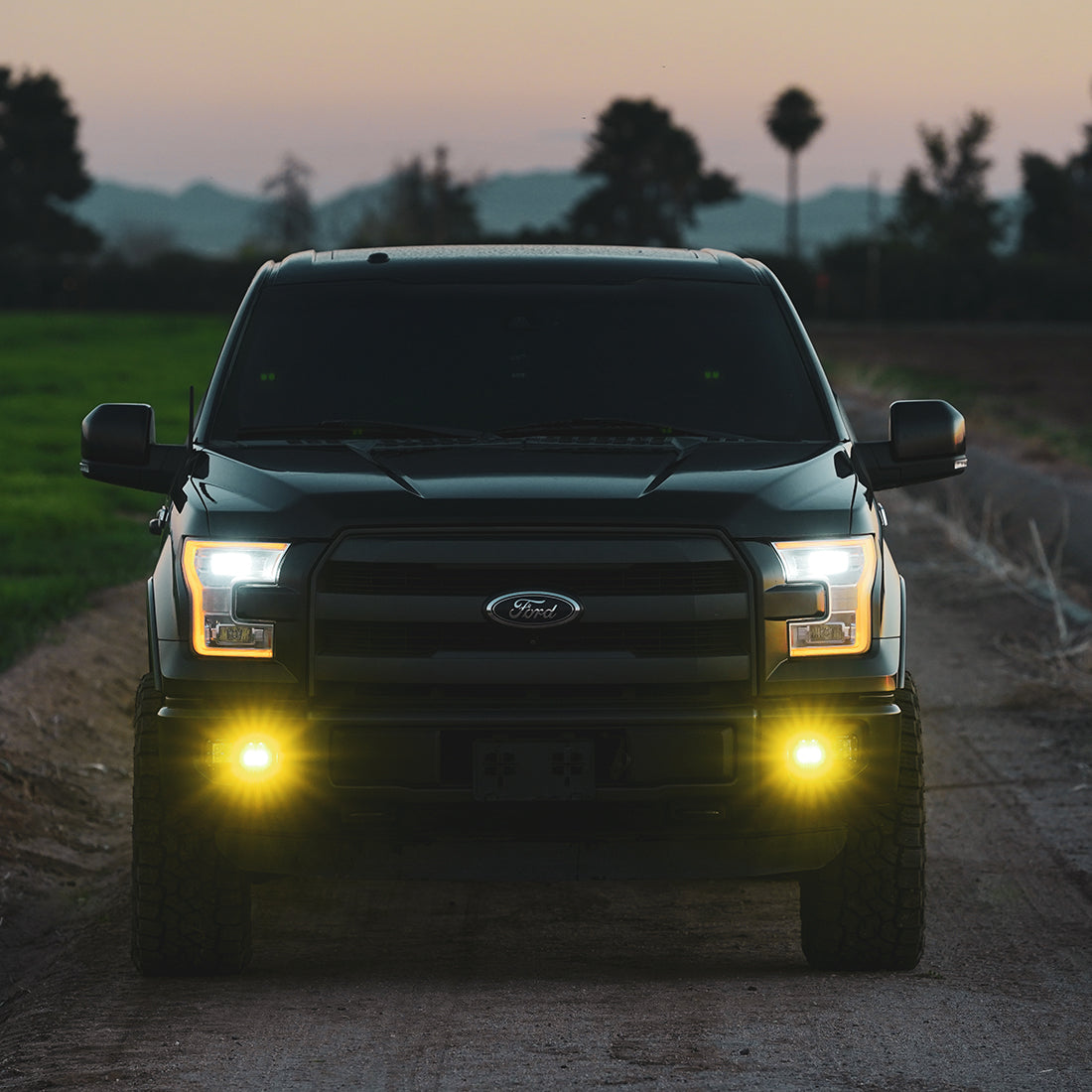 RIGID INDUSTRIES | D-Series SAE Fog Yellow/White Pair RIGID Industries | 50482