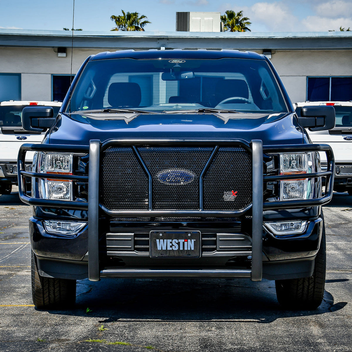 Westin HDX Grille Guard 2021-2024 Ford F-150 w/oFront Camera