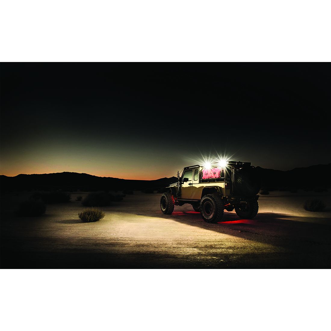 RIGID INDUSTRIES | 2x2 115 Degree DC Power Scene Light Black Housing RIGID Industries | 681513