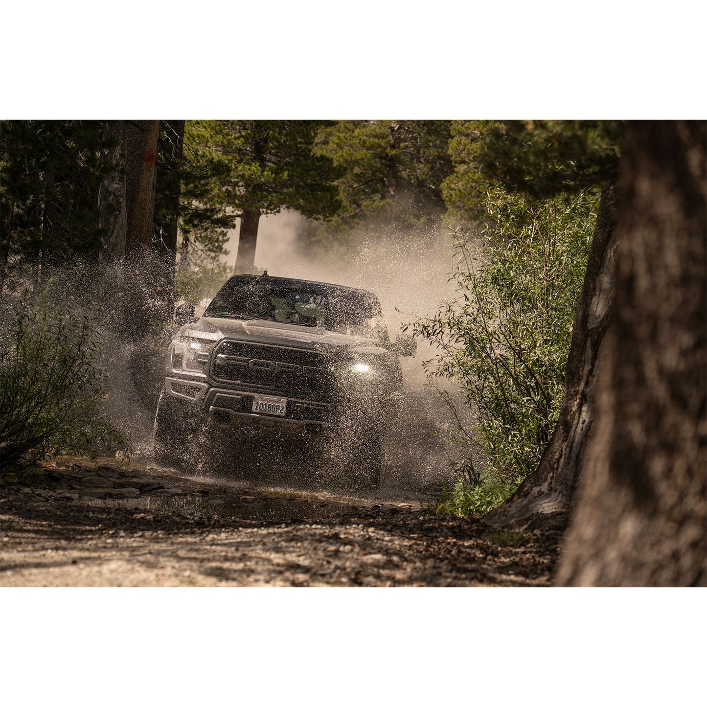 FOX | Shock Absorber 19-On Ford Raptor Rear Live Valve Internal Bypass 3.0 Series Piggy-Back External Cooler 12.3 Inch 0-1 Inch Lift Kit | 883-09-153 off-road image