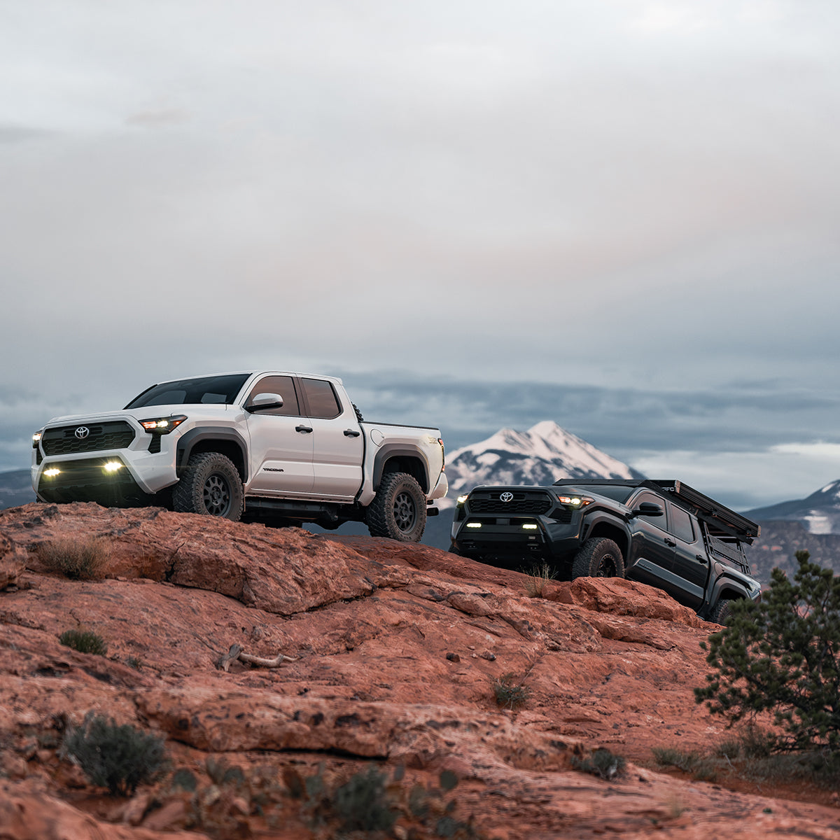 Timbren ABSTORTNDR 4th Gen Tacoma, 3rd Gen Tundra & Land Cruiser 250 Active Off-Road Bumpstops - Rear Kit — view 7