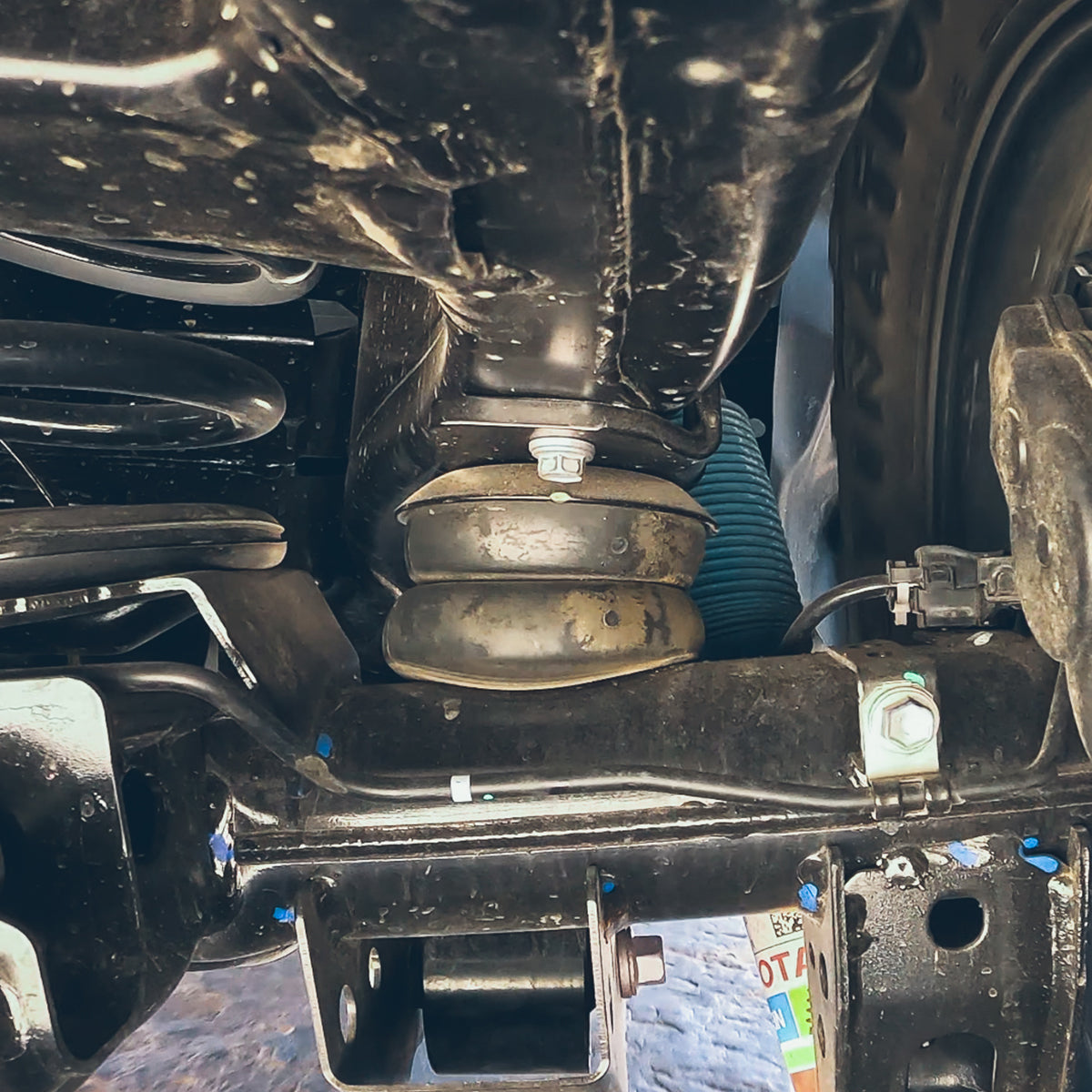 Timbren ABSTORTNDR 4th Gen Tacoma, 3rd Gen Tundra & Land Cruiser 250 Active Off-Road Bumpstops - Rear Kit — view 6