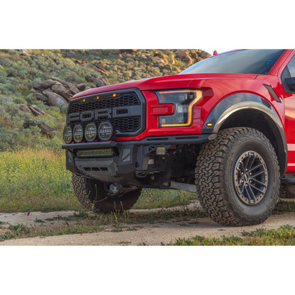DV8 OFF-ROAD FBFR1-01 DV8 Offroad FBFR1-01 150 Raptor Tube for 2017-20 Ford F-150 Raptor