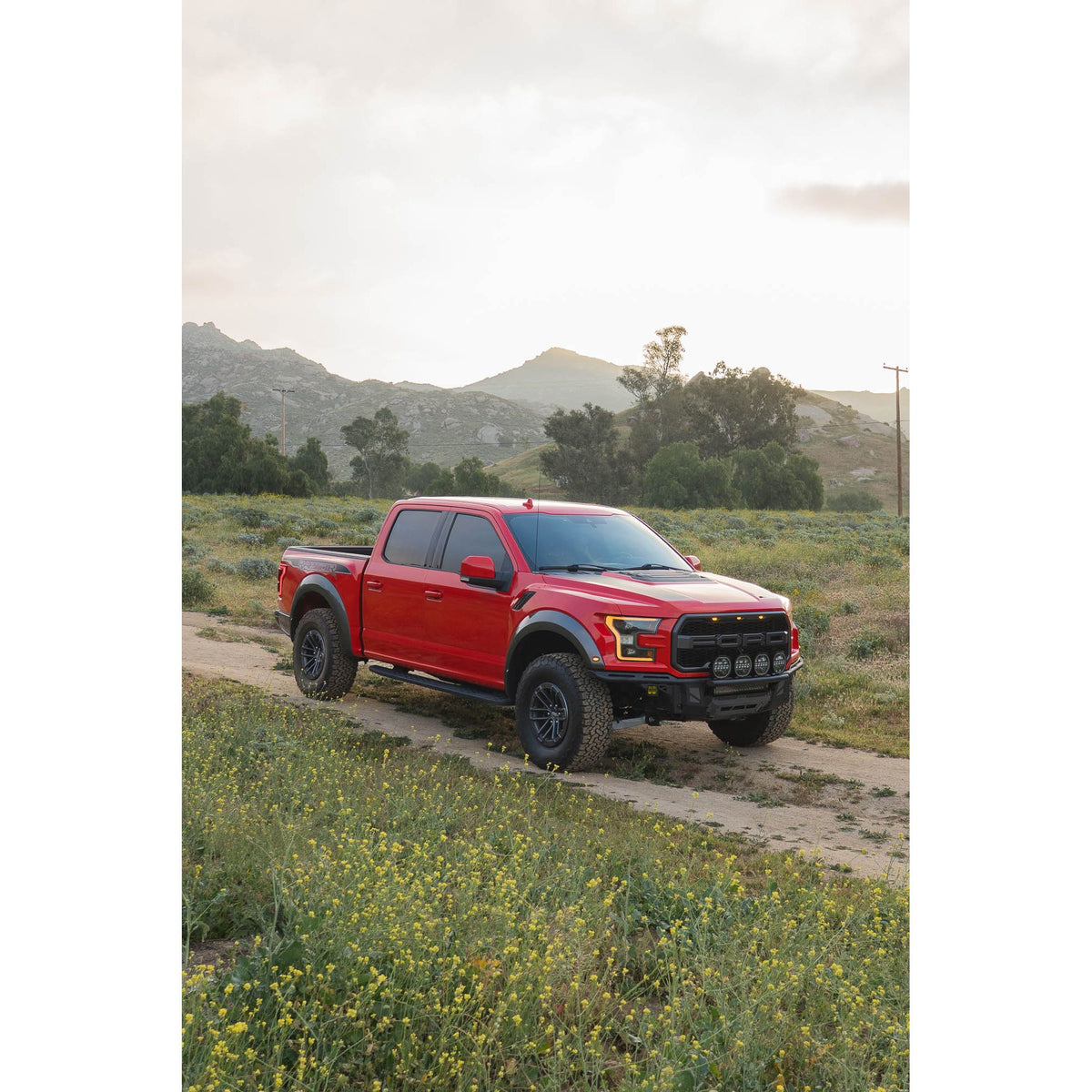 DV8 OFF-ROAD FBFR1-01 DV8 Offroad FBFR1-01 150 Raptor Tube for 2017-20 Ford F-150 Raptor