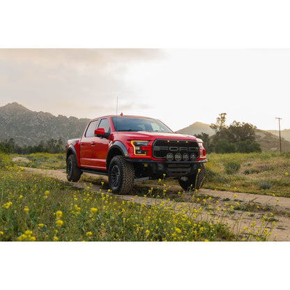 DV8 OFF-ROAD FBFR1-01 DV8 Offroad FBFR1-01 150 Raptor Tube for 2017-20 Ford F-150 Raptor