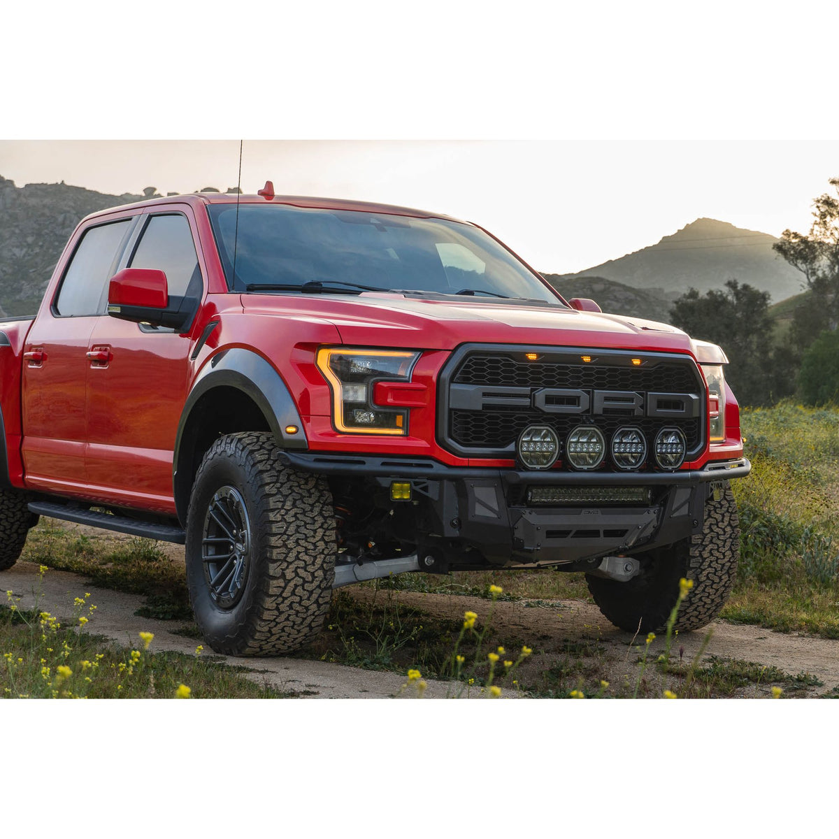 DV8 OFF-ROAD FBFR1-01 DV8 Offroad FBFR1-01 150 Raptor Tube for 2017-20 Ford F-150 Raptor