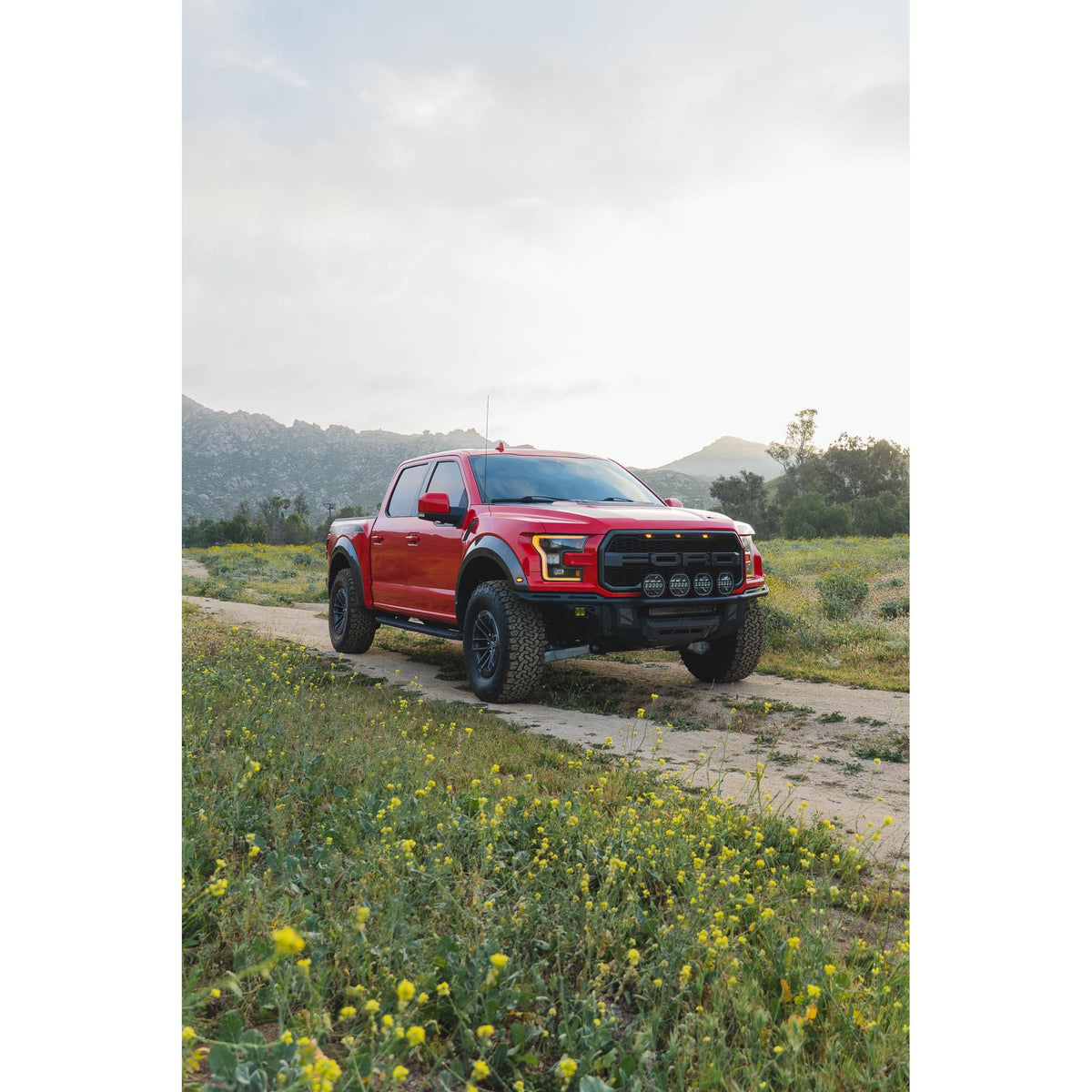 DV8 OFF-ROAD FBFR1-01 DV8 Offroad FBFR1-01 150 Raptor Tube for 2017-20 Ford F-150 Raptor