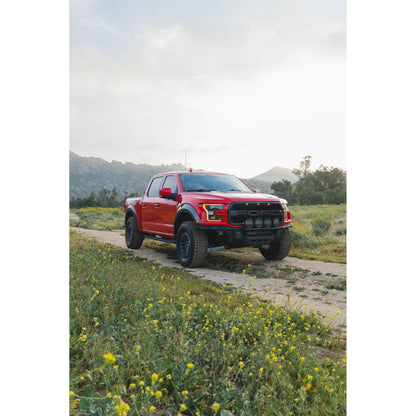 DV8 OFF-ROAD FBFR1-01 DV8 Offroad FBFR1-01 150 Raptor Tube for 2017-20 Ford F-150 Raptor