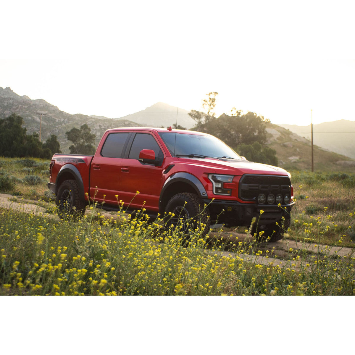 DV8 OFF-ROAD FBFR1-01 DV8 Offroad FBFR1-01 150 Raptor Tube for 2017-20 Ford F-150 Raptor