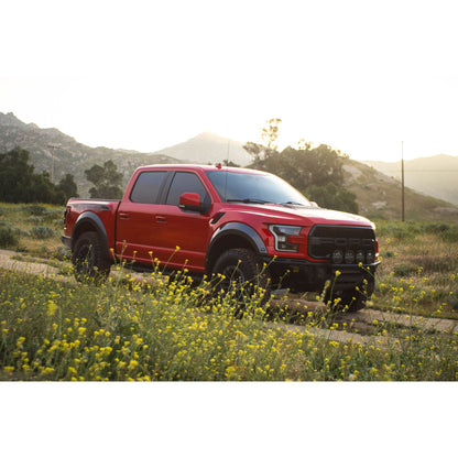 DV8 OFF-ROAD FBFR1-01 DV8 Offroad FBFR1-01 150 Raptor Tube for 2017-20 Ford F-150 Raptor
