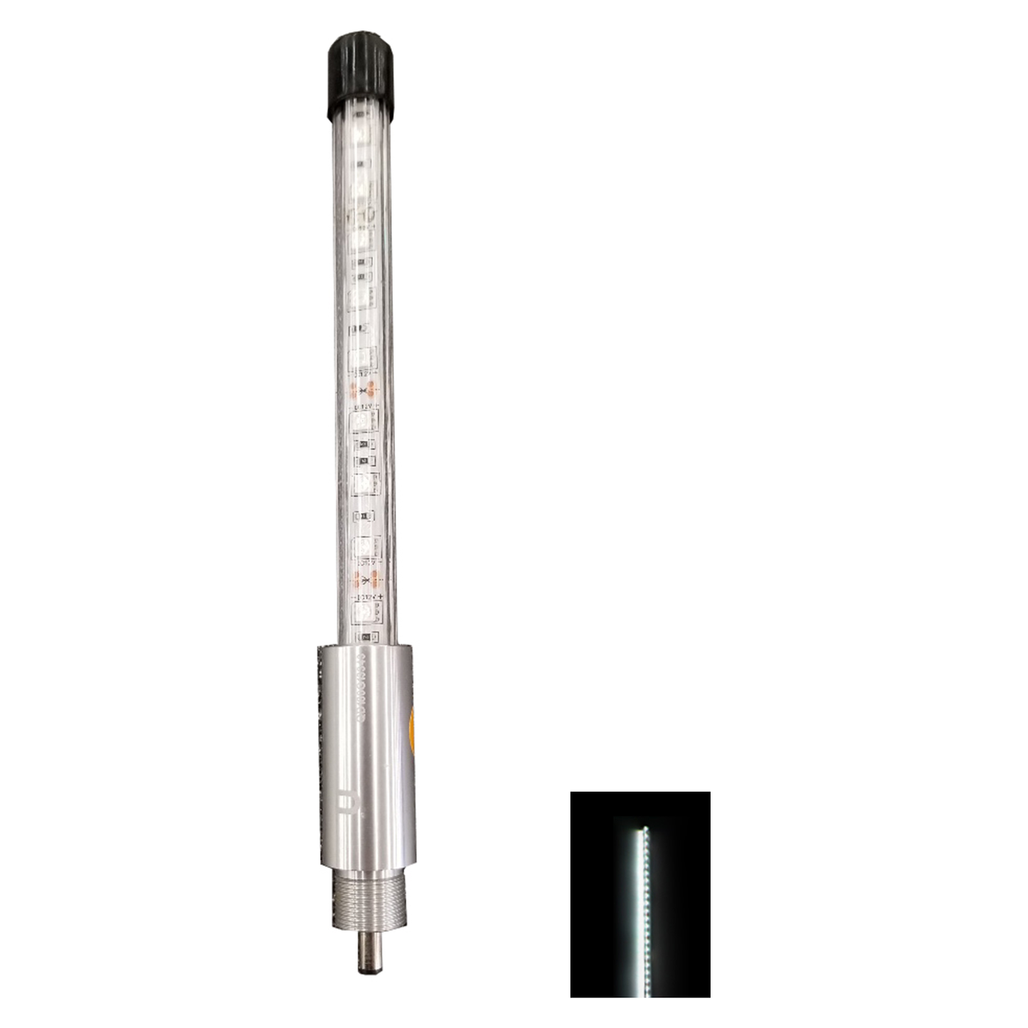 ENTHUZE|Screw On Top Led Light Only - Flashing White |ACTENTWHIPFLASH-W