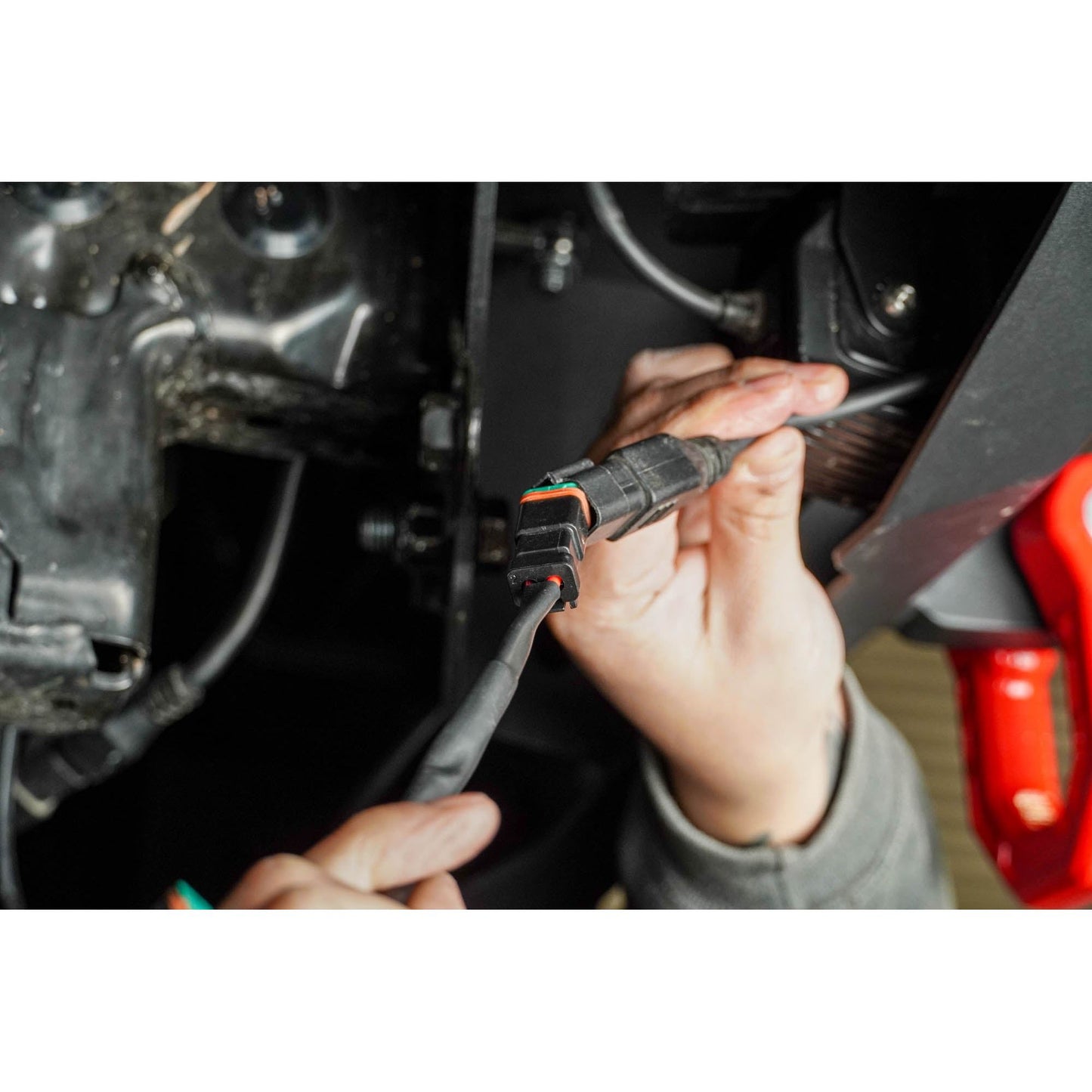 DV8 OFF-ROAD | 4 Way 1 DTP to 4 DTP Plug Harness  | UNWH-02