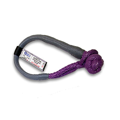 https://www.asapnetwork.org/sites/default/files/fdhc/products/YRGS-02_0-FDHC.jpg