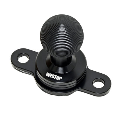 Westin Adventure Mount AMPS Compatible 2 Hole