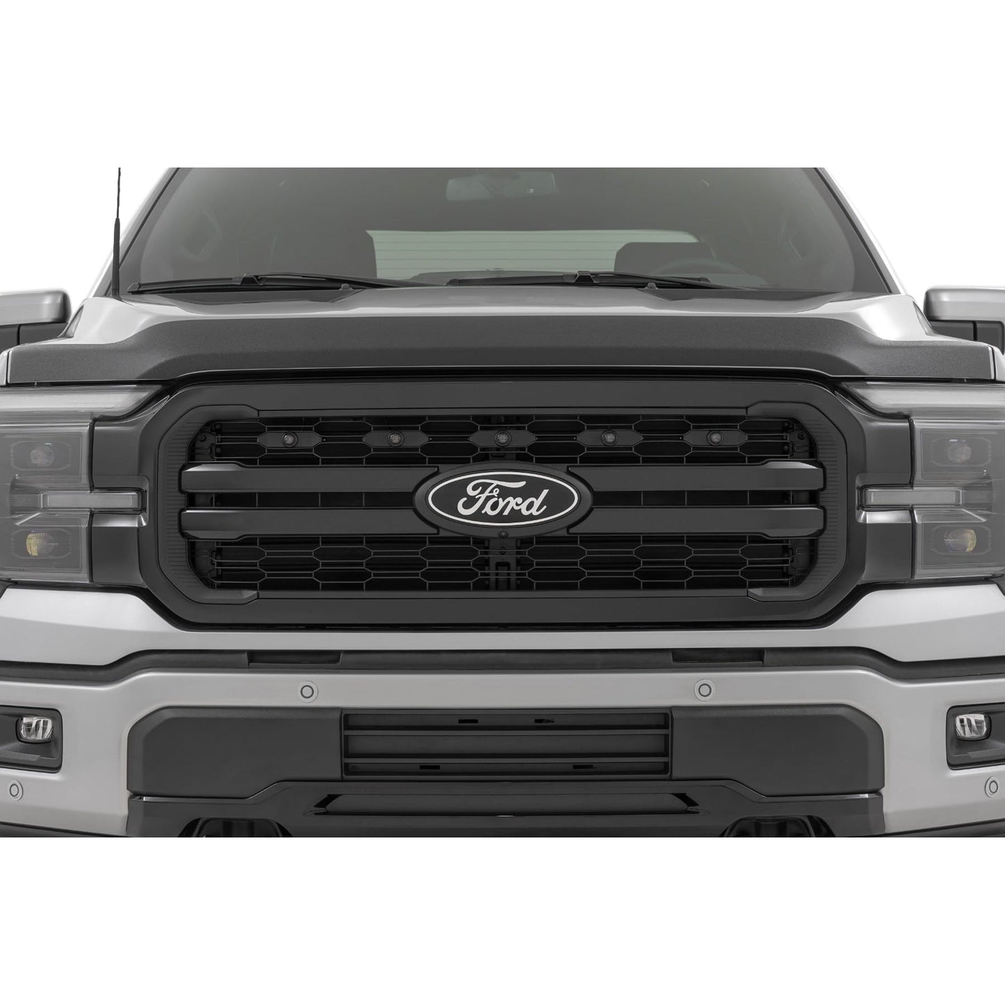 ROUGH COUNTRY | Hood Protector  Gloss Black  Ford F-150 2WD/4WD (2021-2026) | HP30010-RCGB