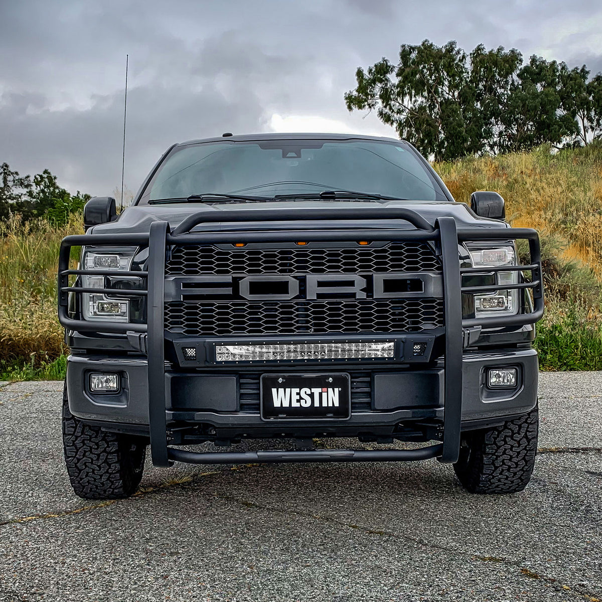 Westin Sportsman X Grille Guard 2015-2020 Ford F-150