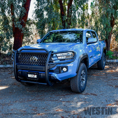 Westin Sportsman X Grille Guard 2016-2023 Toyota Tacoma