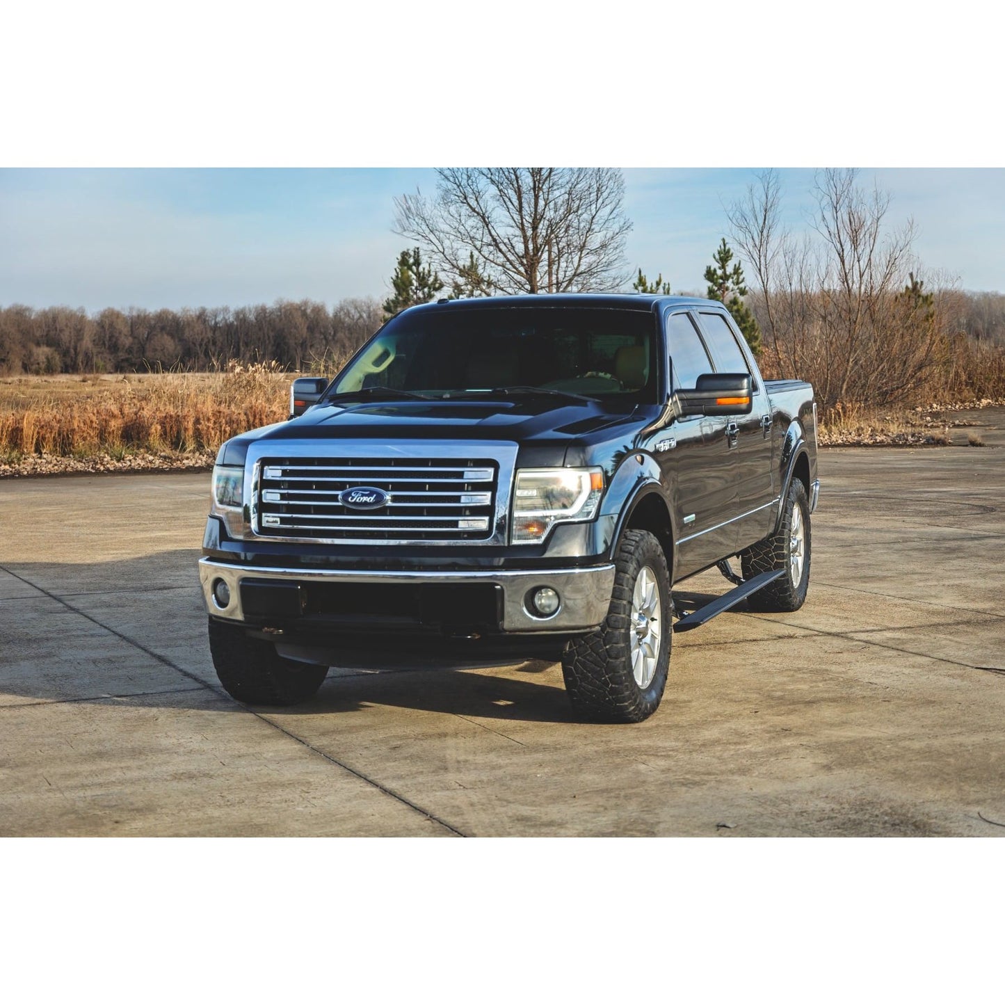ROUGH COUNTRY | Power Running Boards  Crew Cab  Ford F-150 (2009-2014) | ESR71529