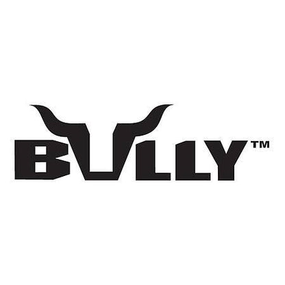 Bully Truck Dome Light Kit ILT-101W